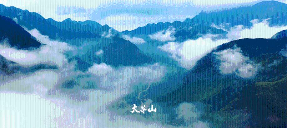 在昆明_呈贡区蓝光天娇城有房产证可以上公立幼儿园吗?游戏画面