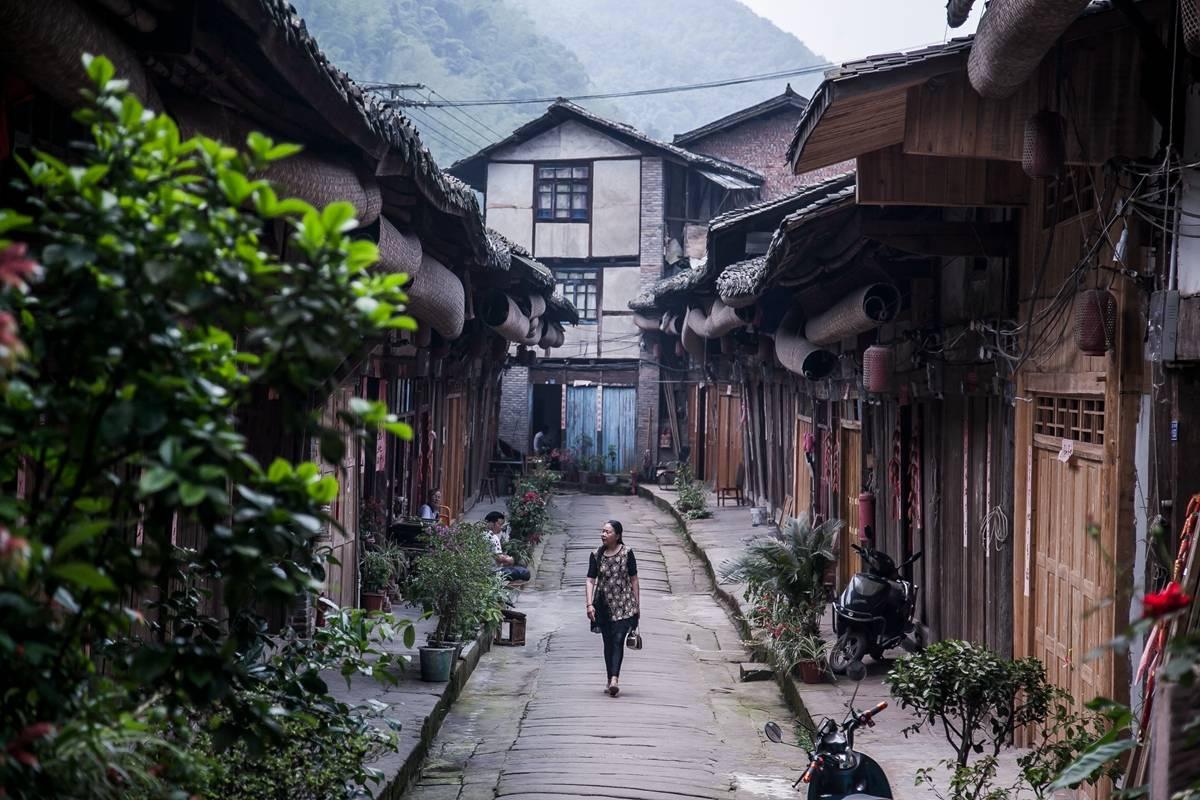我省科研团队揭示效应蛋白SPARSA系统在细菌免疫中的新机制